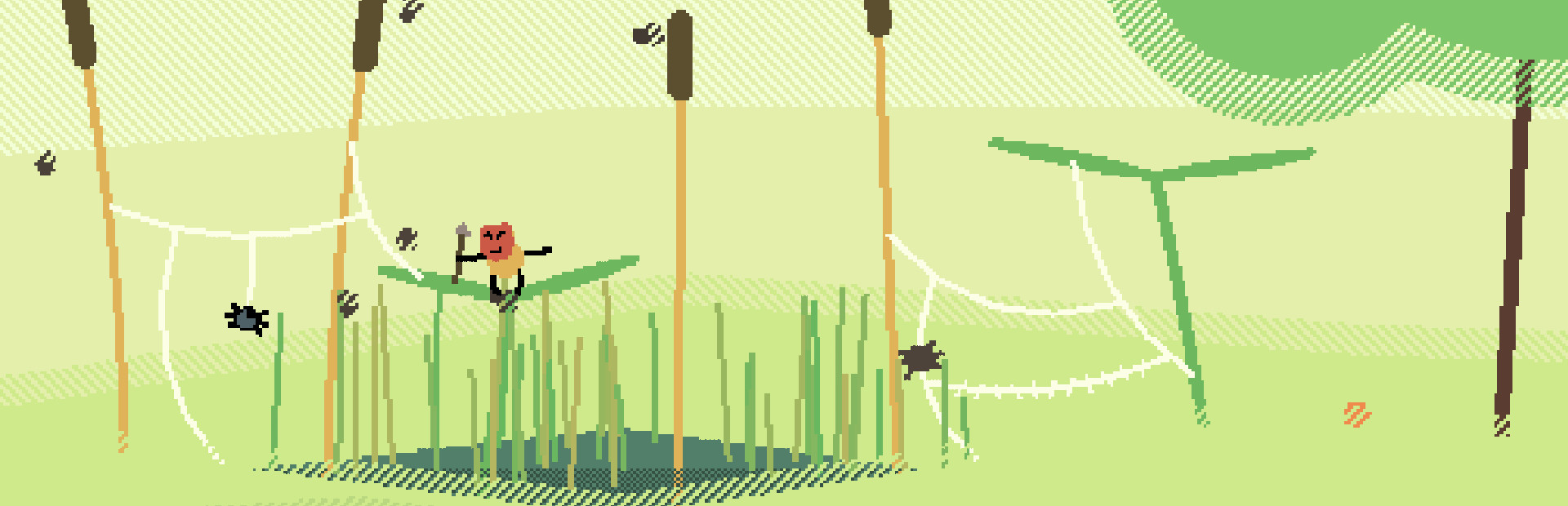 spider ponds