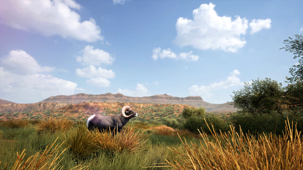 Screenshot z Hunting Simulator 2