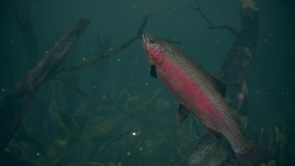 Ultimate Fishing Simulator 2: скриншот 1