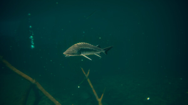 Ultimate Fishing Simulator 2: скриншот 18