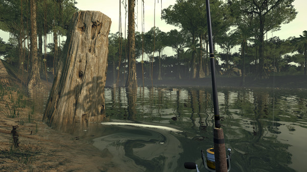 Ultimate Fishing Simulator VR - Amazon River DLC