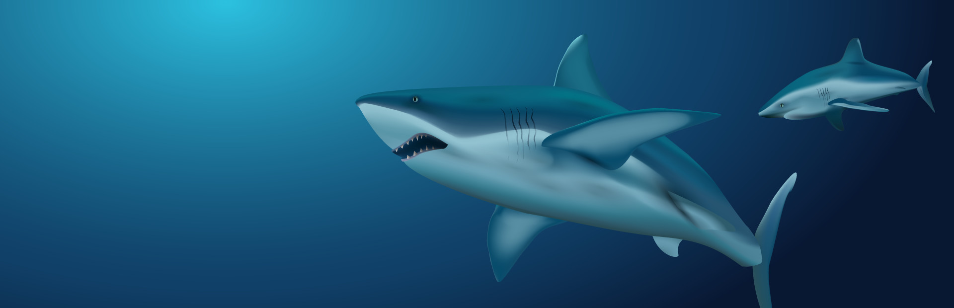 Typing with Sharks