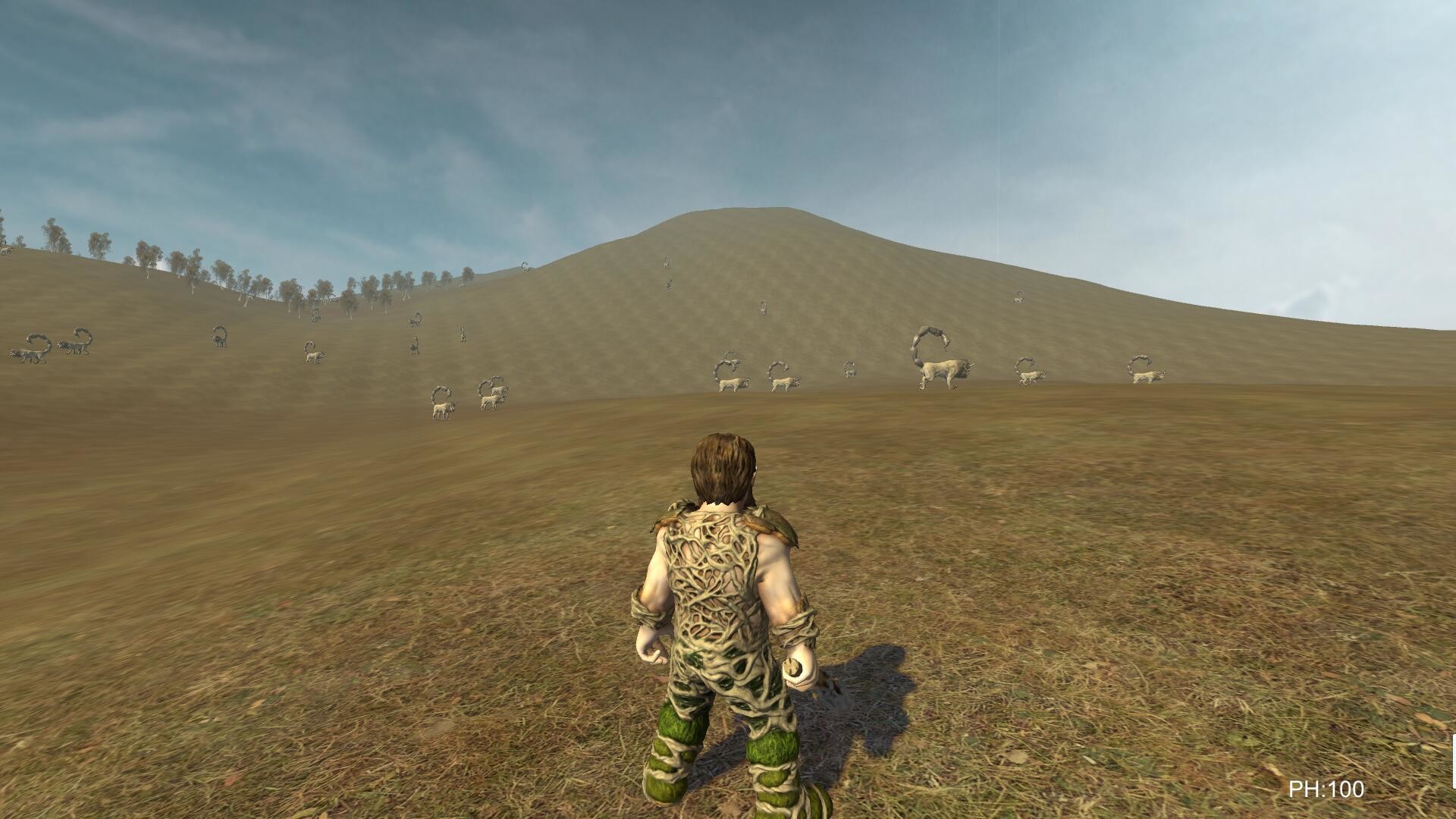 Desert lost