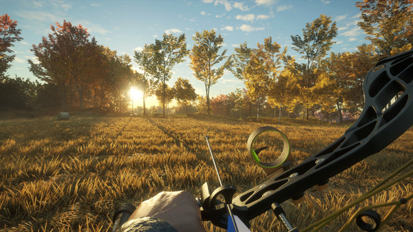 Full Size Image