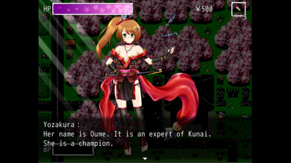 Screenshot z Kunoichi Ninja