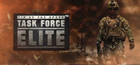 Task Force Elite crack status