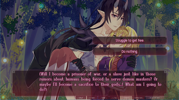 Screenshot z Mizari Loves Company