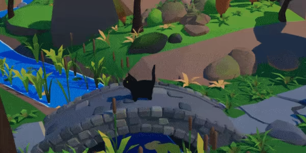 Summer Paws video 1