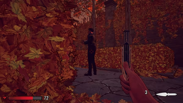 XIII video 9