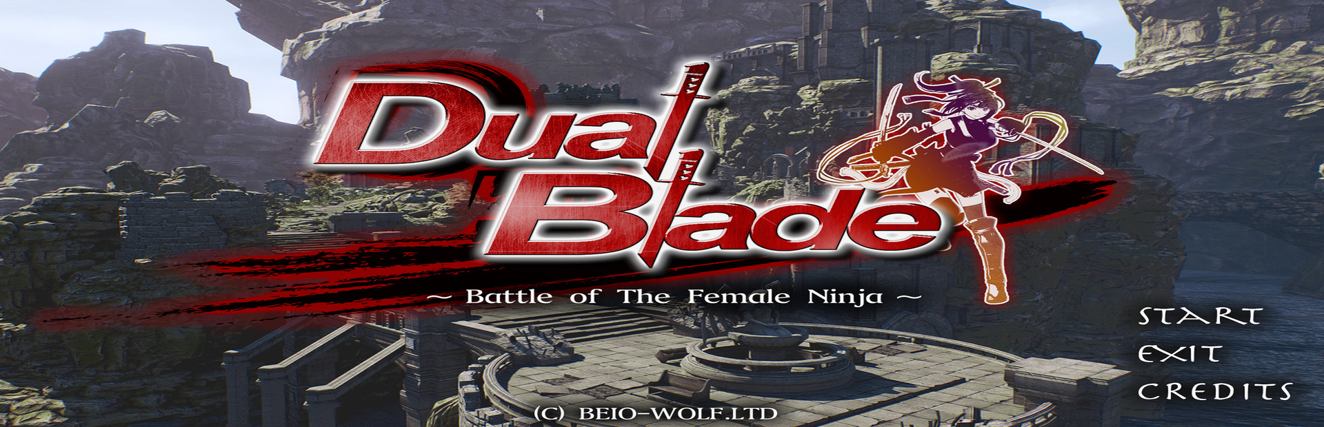 Dual Blade ~ Battle of The Female Ninja ~