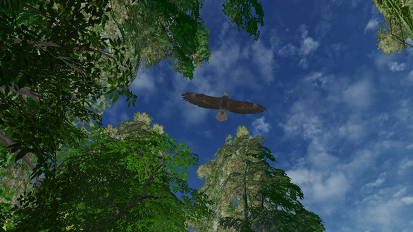 Safari Grounds - The Wilpattu Leopard screenshot 2