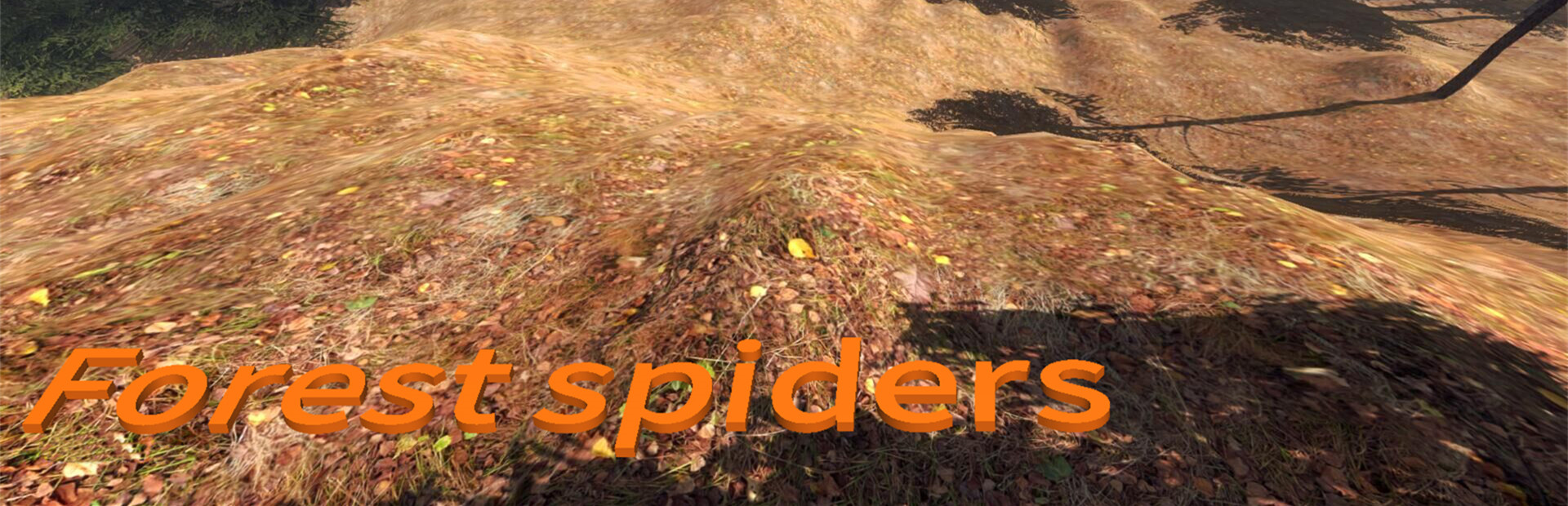 Forest spiders