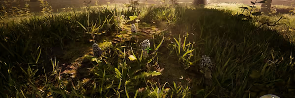 Morels: The Hunt video 3