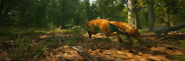 Morels: The Hunt video 13