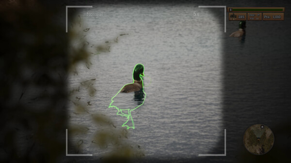 Screenshot z Morels: The Hunt