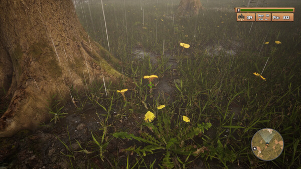 Screenshot z Morels: The Hunt