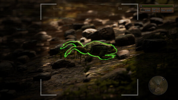 Screenshot z Morels: The Hunt