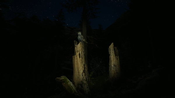 Morels: The Hunt-游戏截图
