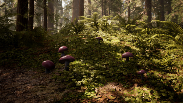 Morels: The Hunt-游戏截图