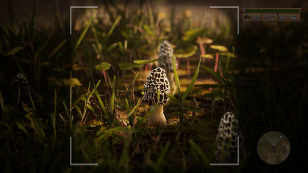 Morels: The Hunt-游戏截图