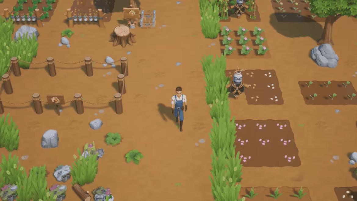 Coral Island video 4