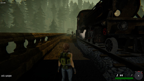 Jane Westlake Adventures: The Mystery Train screenshot 1