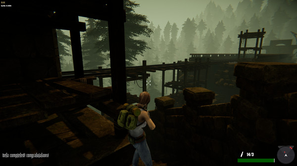 Jane Westlake Adventures - The Mystery Train screenshot 4