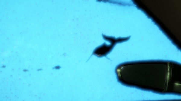 Phenomenal Car Park Adventure: Digital Deluxe Edition screenshot 5