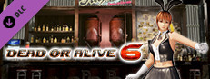 DOA6 Sexy Bunny Costume - Kasumi Small Capsule Image