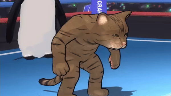 Fight of Animals video 8