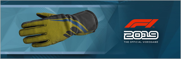 F1 2019: Gloves 'Blue and Black'