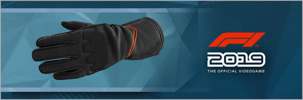 F1 2019: Gloves 'Stealth'
