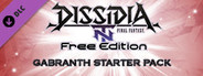 DFF NT: Gabranth Starter Pack