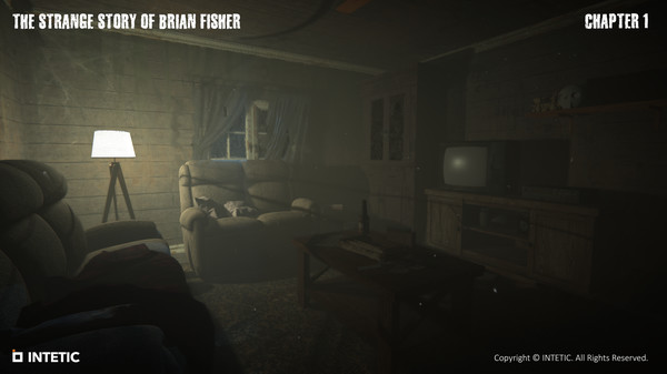 The Strange Story Of Brian Fisher: Chapter 1 screenshot 6