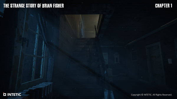 The Strange Story Of Brian Fisher: Chapter 1 screenshot 4