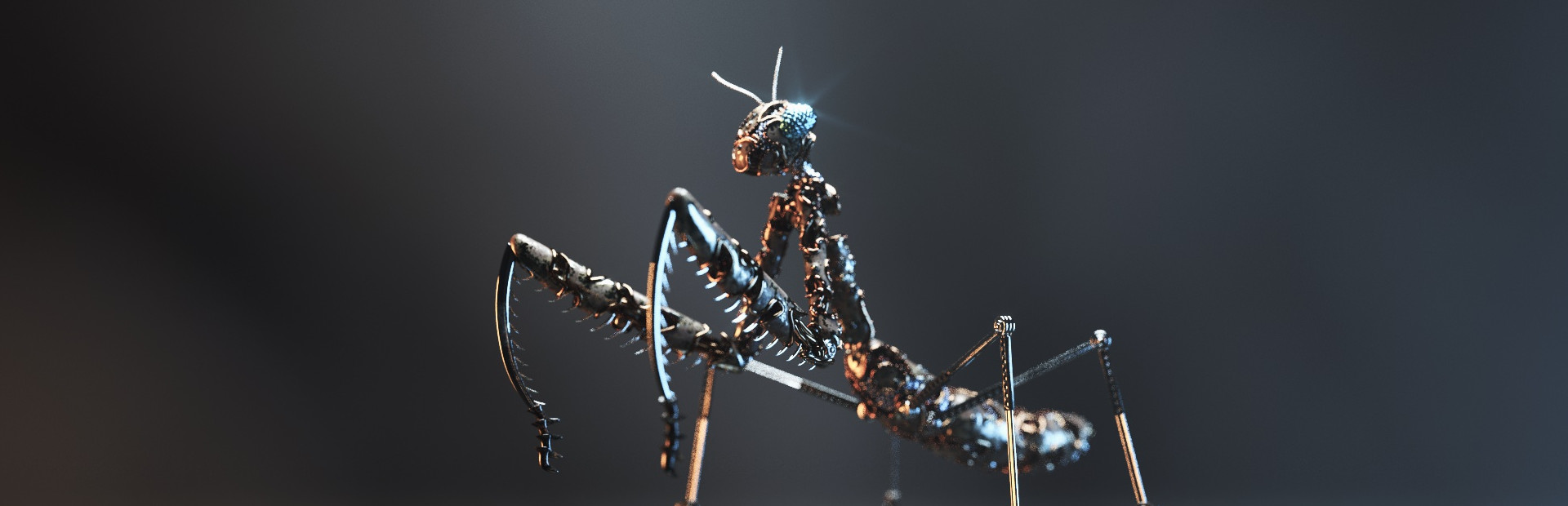Beetle Hunter