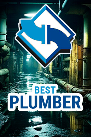 Cover art of Best Plumber