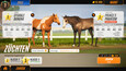 A screenshot of Rival Stars Horse Racing: Desktop Edition