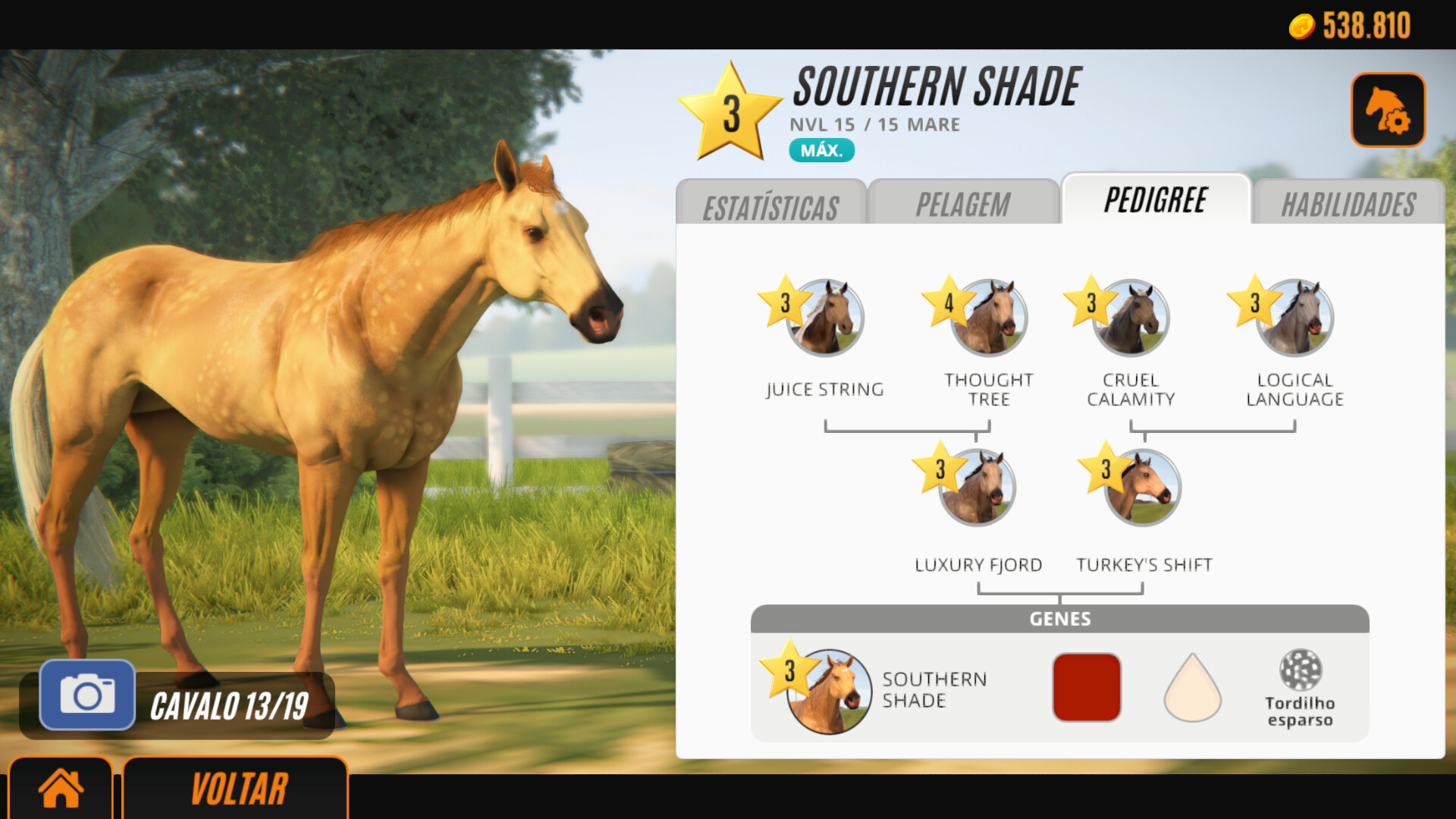 Screenshot de Rival Stars Horse Racing: Desktop Edition