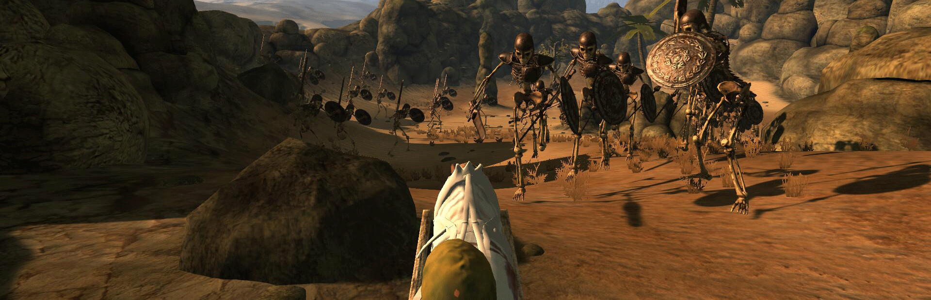 Desert coachman