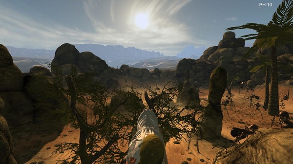 Desert coachman screenshot 6