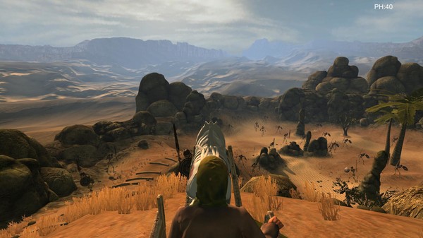 Desert coachman screenshot 2