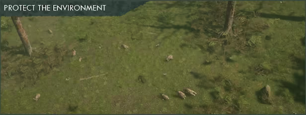 Natural Instincts: European Forest video 1