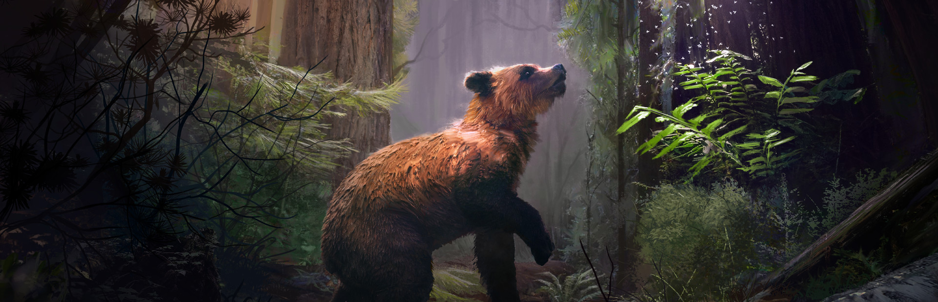 Natural Instincts: European Forest