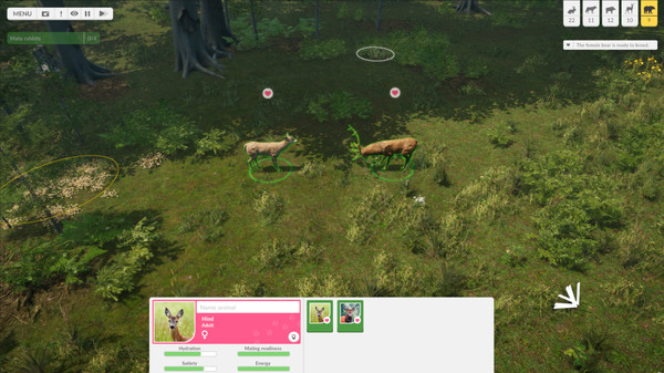 Natural Instincts: European Forest