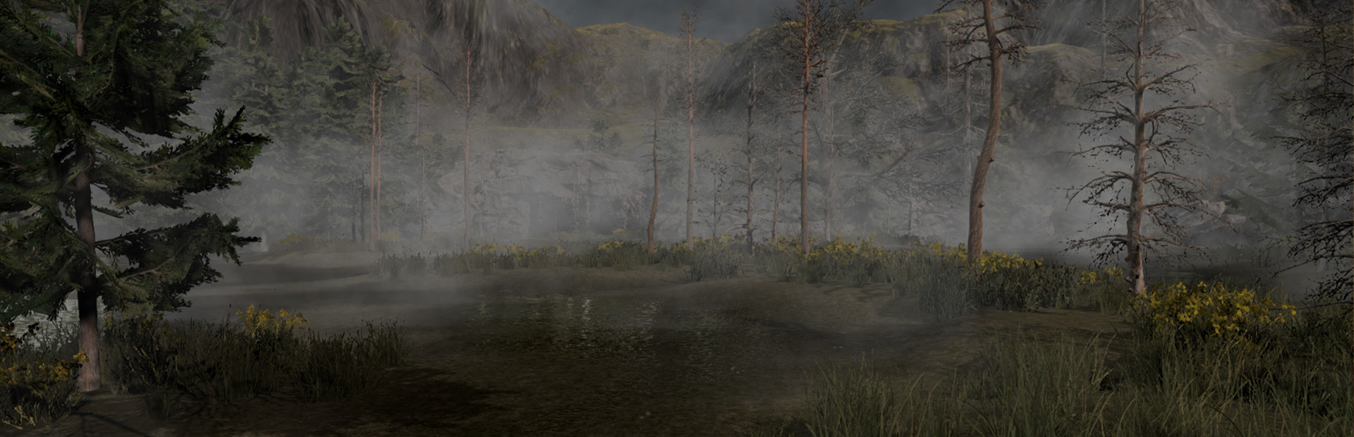 The Valley
