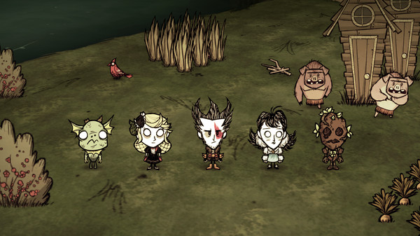 KHAiHOM.com - Don't Starve Together: Starter Pack 2019