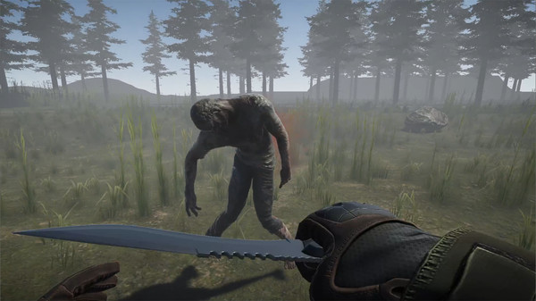 Screenshot z Survived