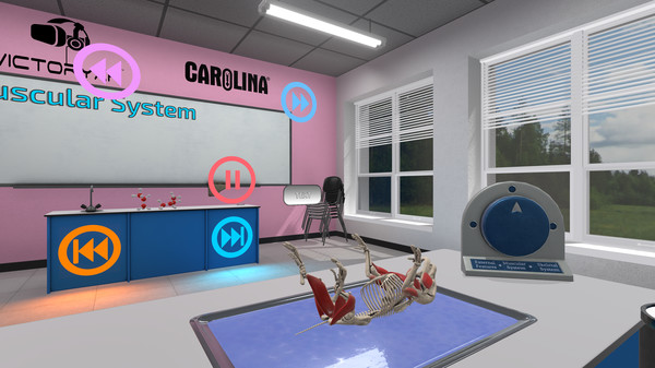 Dissection Simulator: Pig Edition screenshot 4