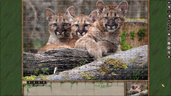 Pixel Puzzles Traditional Jigsaws Pack: Cats